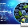 veex维刻v1一代蓝莓